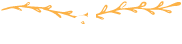 Cuidar e Saúde Plus